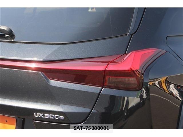 Lexus UX 2021-08 4965275-27