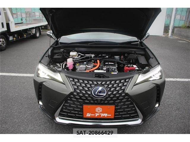 Lexus UX 2021-10 7059336-28