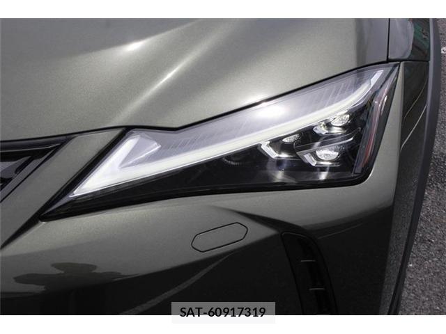 Lexus UX 2021-02 7725239-11