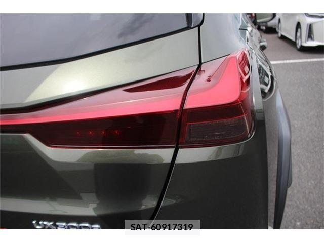 Lexus UX 2021-02 7725239-14