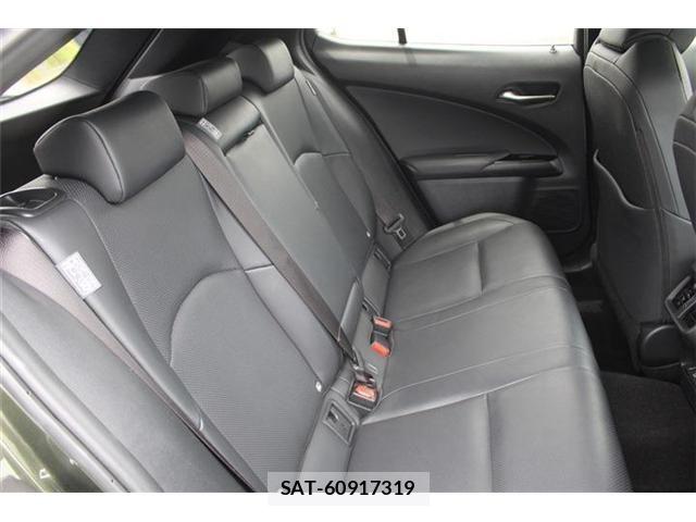 Lexus UX 2021-02 7725239-18