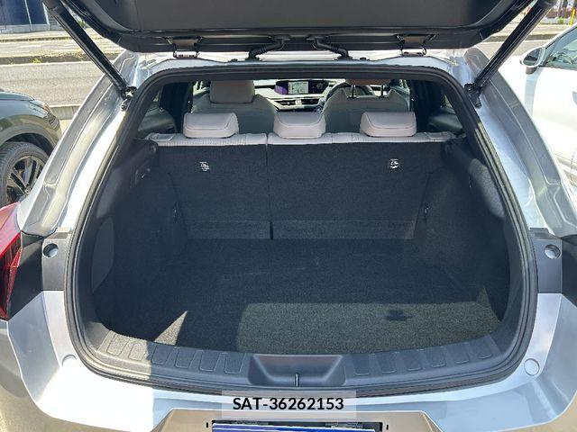 Lexus UX 2021-07 7786675-21