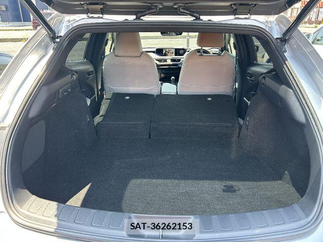 Lexus UX 2021-07 7786675-22
