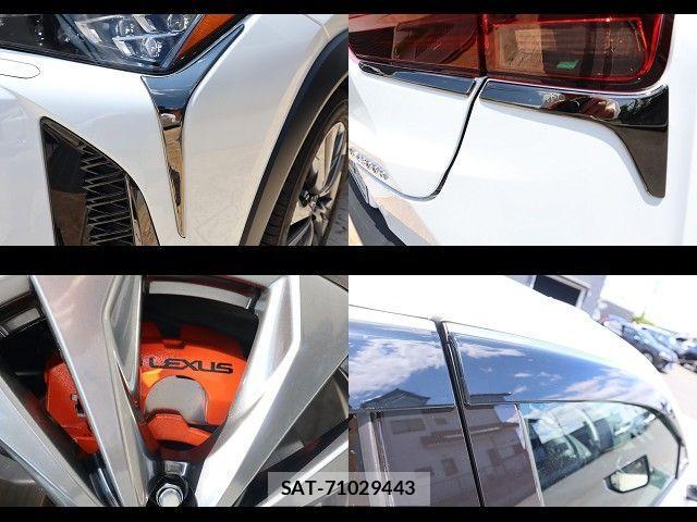 Lexus UX 2024-07 1016628-27