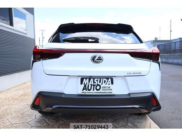 Lexus UX 2024-07 1016628-5