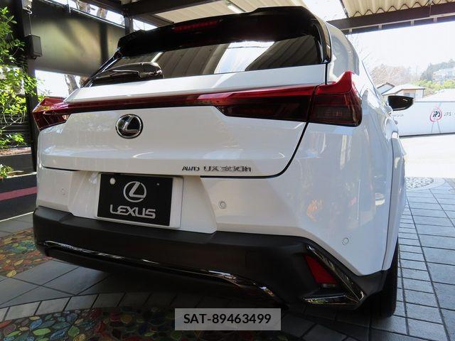 Lexus UX 2025-01 5871280-1