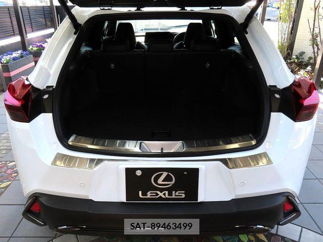 Lexus UX 2025-01 5871280-25