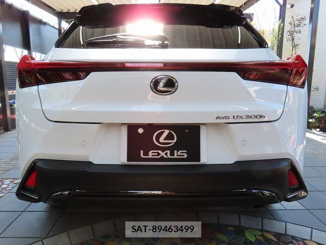 Lexus UX 2025-01 5871280-4