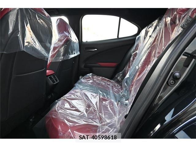 Lexus UX 2024-05 5871274-14