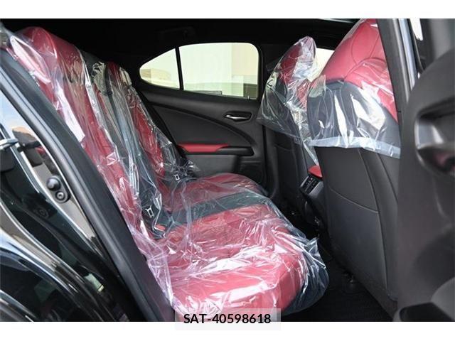 Lexus UX 2024-05 5871274-15