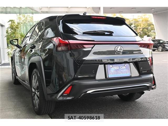 Lexus UX 2024-05 5871274-2