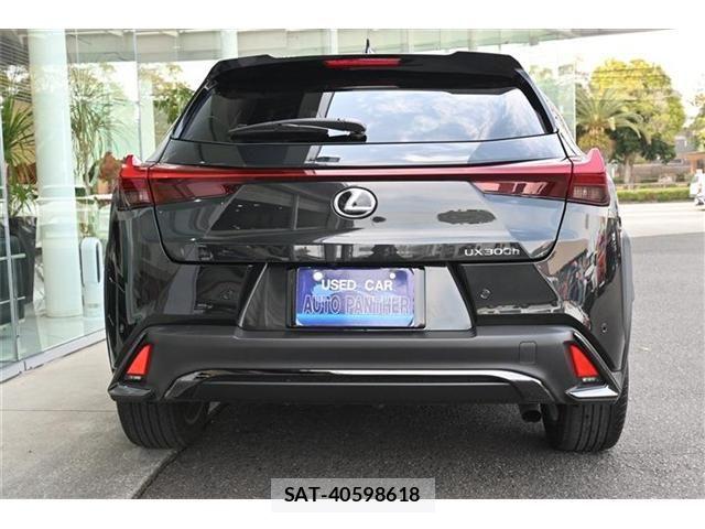 Lexus UX 2024-05 5871274-3