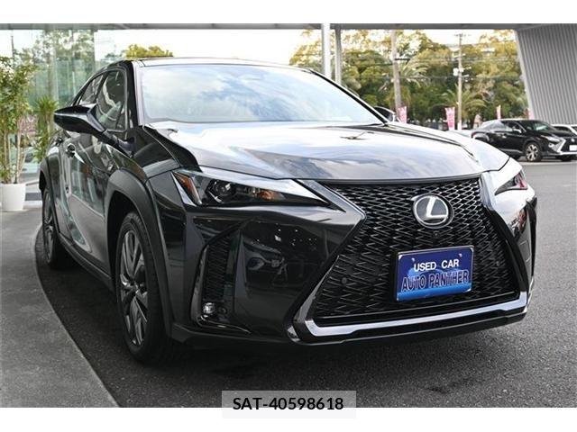 Lexus UX 2024-05 5871274-6