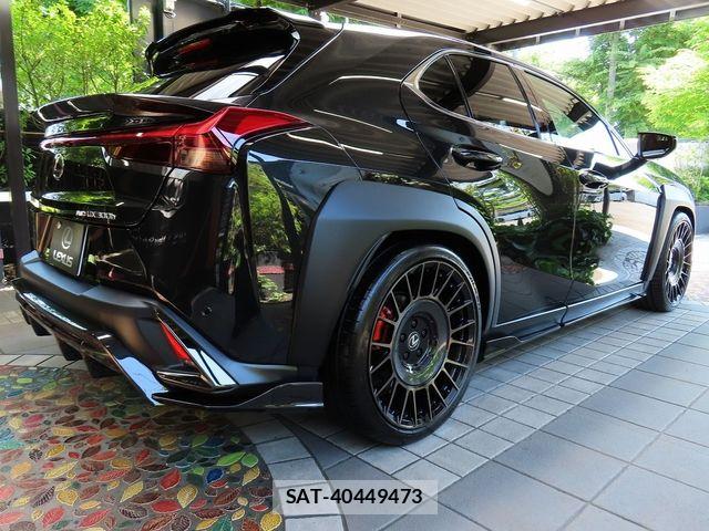 Lexus UX 2024-02 6907883-11