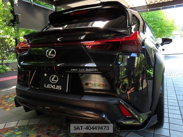 Lexus UX 2024-02 6907883-1