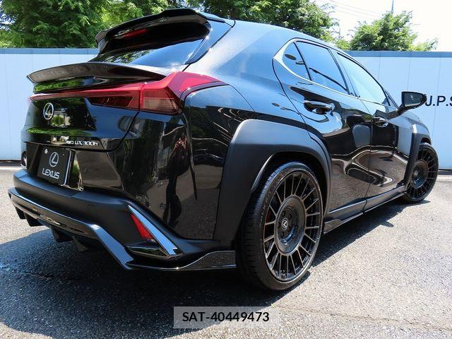 Lexus UX 2024-02 6907883-29