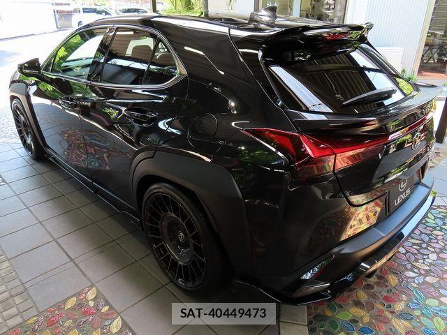 Lexus UX 2024-02 6907883-8