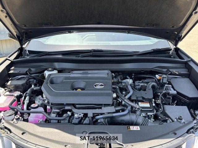 Lexus UX 2025-11 6995275-27