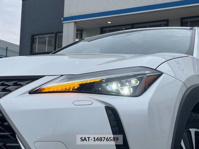 Lexus UX 2024-03 7221188-14