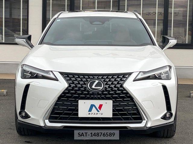Lexus UX 2024-03 7221188-16