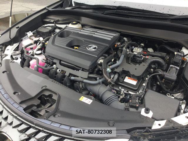 Lexus UX 2024-06 7725242-18