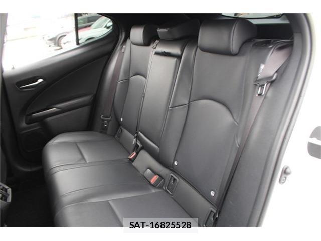 Lexus UX 2024-07 8245783-20