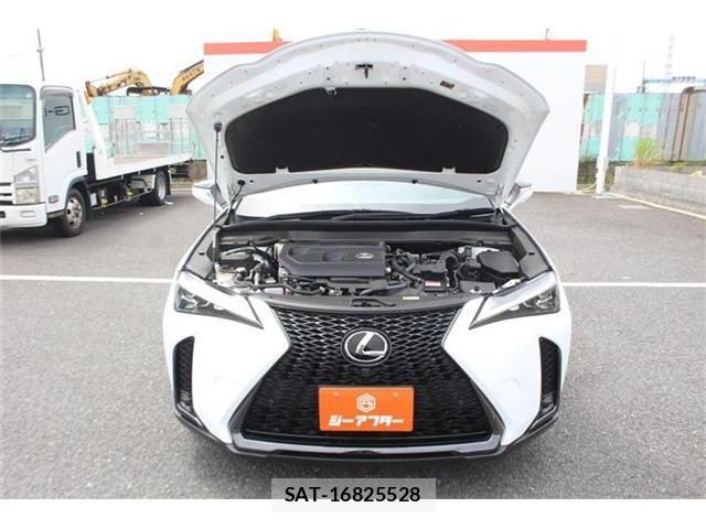 Lexus UX 2024-07 8245783-28