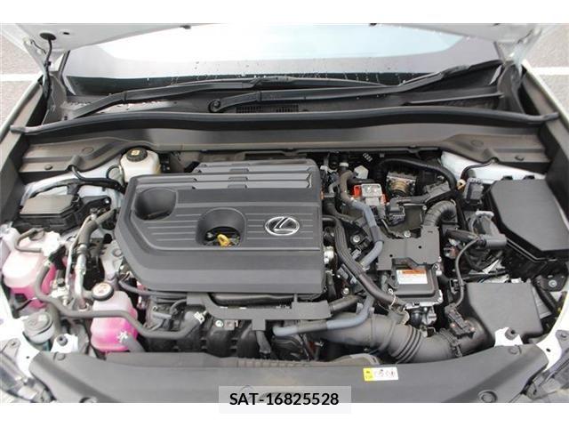 Lexus UX 2024-07 8245783-29