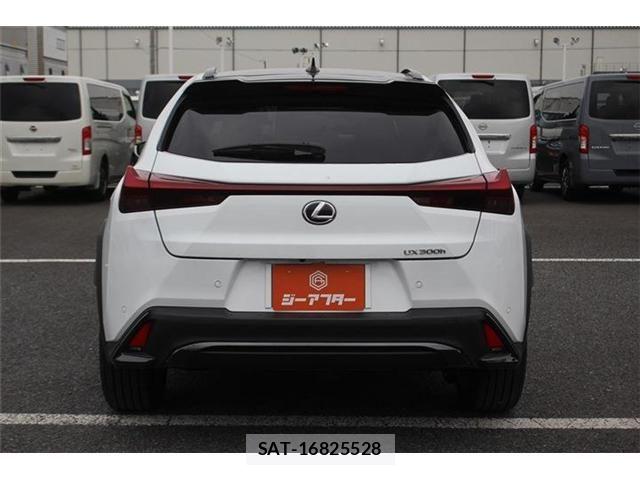 Lexus UX 2024-07 8245783-8