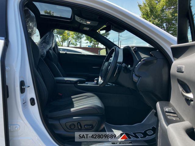 Lexus UX 2024-07 8245782-9