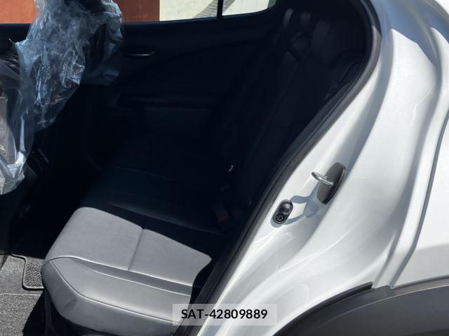 Lexus UX 2024-07 8245782-20