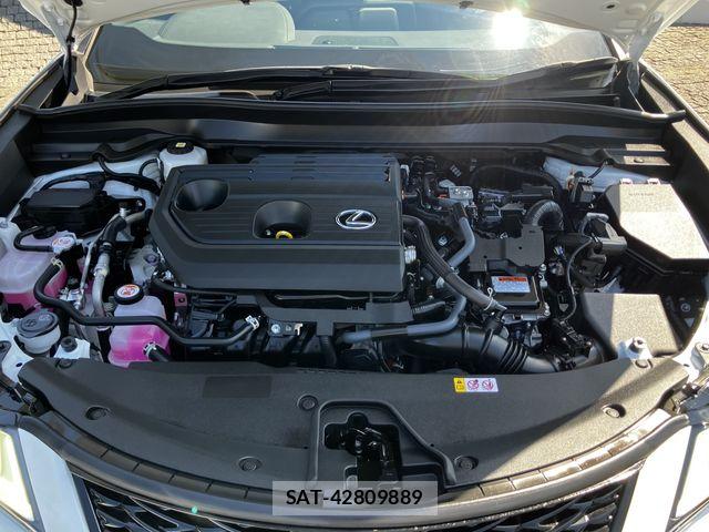 Lexus UX 2024-07 8245782-23