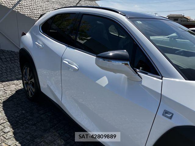 Lexus UX 2024-07 8245782-4