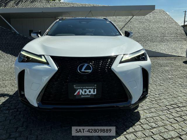 Lexus UX 2024-07 8245782-5