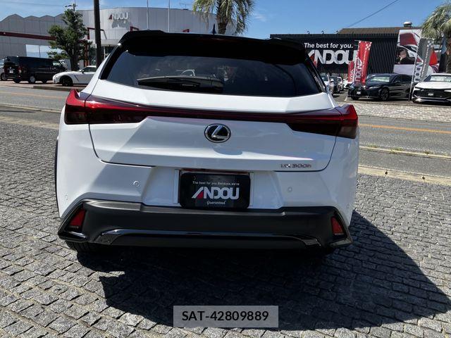 Lexus UX 2024-07 8245782-6