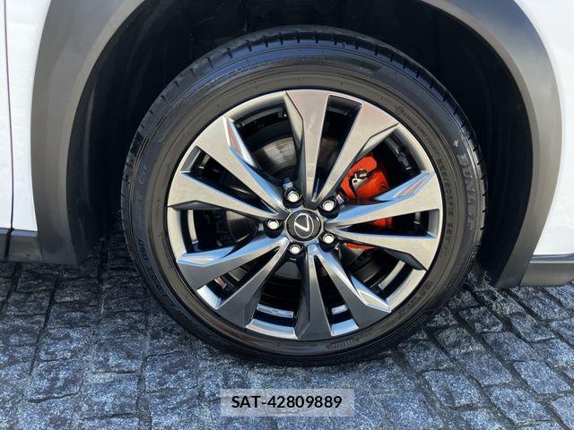 Lexus UX 2024-07 8245782-7