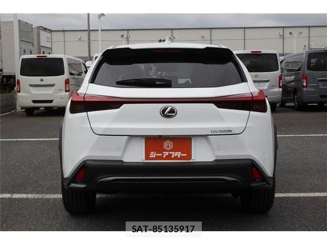 Lexus UX 2024-04 8336635-14
