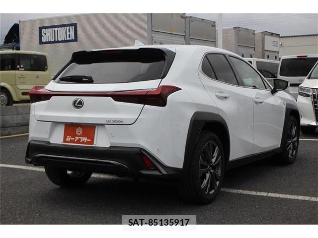 Lexus UX 2024-04 8336635-15