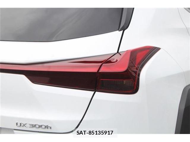 Lexus UX 2024-04 8336635-28