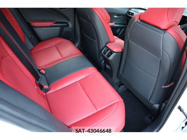 Lexus UX 2024-03 8666436-10