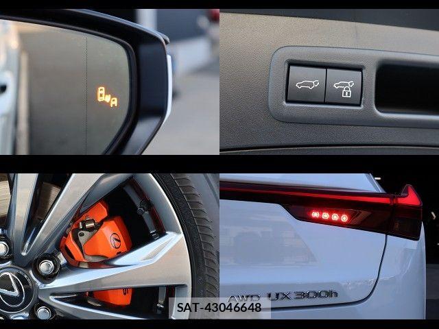 Lexus UX 2024-03 8666436-23