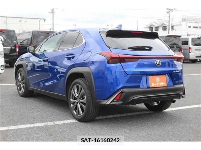 Lexus UX 2024-03 8666437-11