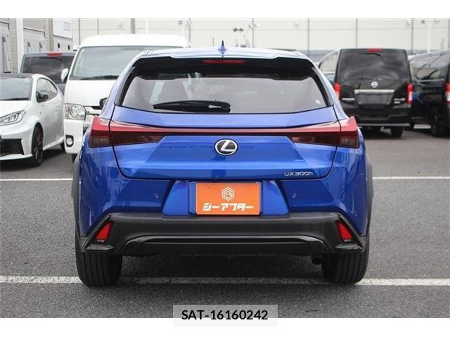 Lexus UX 2024-03 8666437-12