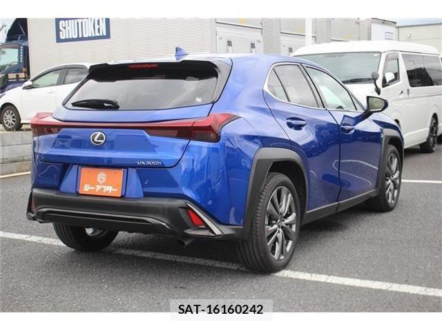 Lexus UX 2024-03 8666437-13
