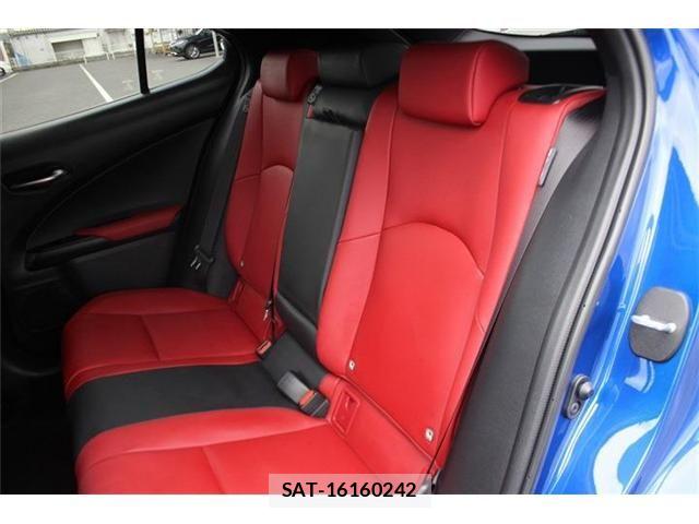 Lexus UX 2024-03 8666437-23