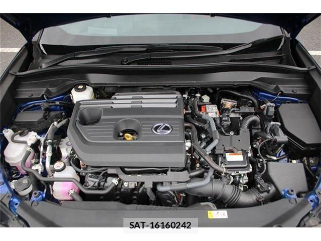 Lexus UX 2024-03 8666437-28