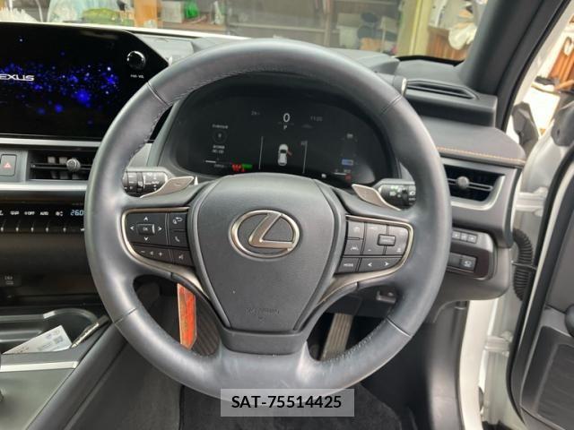 Lexus UX 2024-03 8685885-12