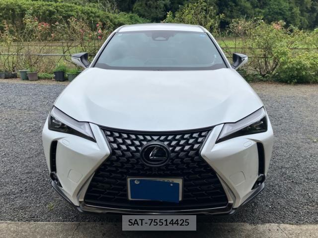 Lexus UX 2024-03 8685885-1