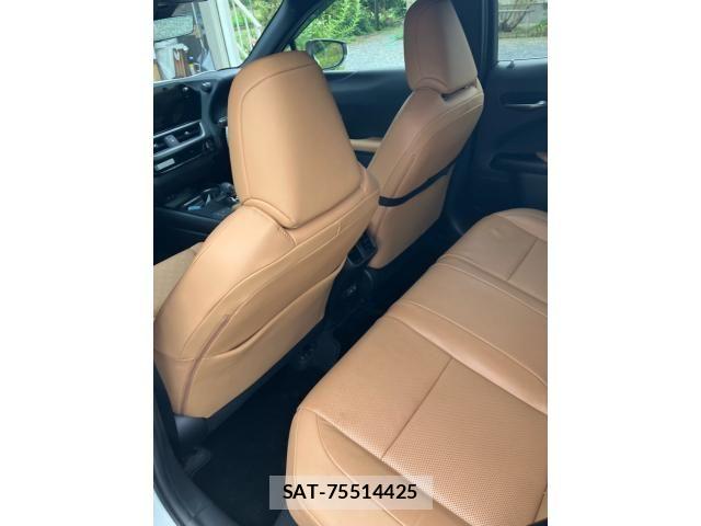 Lexus UX 2024-03 8685885-23