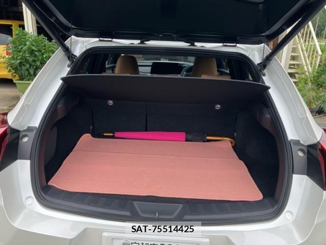 Lexus UX 2024-03 8685885-24